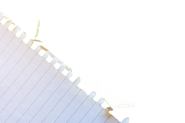 Ripped white paper with a lined texture on a transparent background. PNG photo. White background