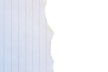 Ripped white paper with a lined texture on a transparent background. PNG photo. White background