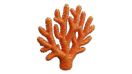 Orange Coral Reef Isolated on White Background