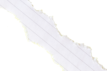 Ripped white paper with a lined texture on a transparent background. PNG photo. White background