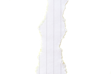 Ripped white paper with a lined texture on a transparent background. PNG photo. White background