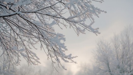 Obraz premium Tree branches blanketed in fresh snow with complex patterns visible, highlighting winter scenery and seasonal transition