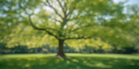 Obraz premium Bokeh effect from tree background in a summer garden with abstract green light patterns, suitable for nature-themed layout backgrounds