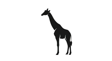 Fototapeta premium Elegant Giraffe Silhouette - A Minimalist Wildlife Illustration.