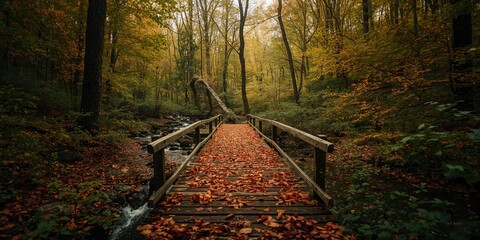 Fallen leaves cover a wooden bridge amid lush greenery and tall trees, highlighting autumnal scenery and ecosystem stability