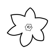 Flower Floral Cone Natural hand drawn flora beautiful organic line
