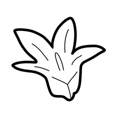 Cone Flower Floral Natural hand drawn flora beautiful organic line
