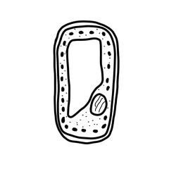 Plant cell structure Cell wall organic line hand drawn
