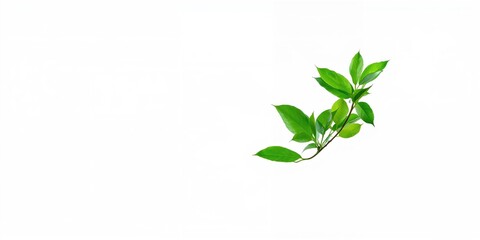 Green floating leaves drifting in the air, used as a background for text and layout, Earth Day