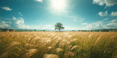 Naklejka premium A sunlit field with tall grass moving gently in the wind, serving as a nature backdrop for outdoor projects, Earth Day