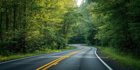 Obraz premium Highway road with trees and leading yellow painted lines, serving as a background for text layout
