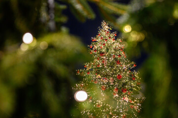 Illuminated and decorated Christmas tree outdoor in a town. Sparkling light and decoration on Christmas tree.