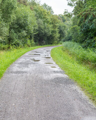 Scenic gravel path winding through lush greenery after rainfall in a tranquil nature setting