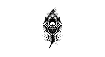 Elegant Peacock Feather Illustration Minimalist Design.