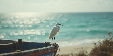 Sea scene with a white egret poised to catch fish on a fishing vessel, emphasizing wildlife activity