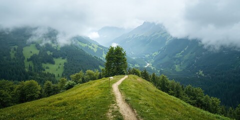 Hiking trail through lush green forest and hills near mountain pass, natural preservation
