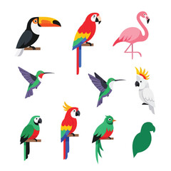Fototapeta premium Colorful tropical bird icons are featured in this simple modern vector illustration set, rendered in a bright flat 2D style and isolated on a clean white background.