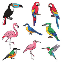 Fototapeta premium A vibrant collection of colorful exotic tropical birds, rendered in a clean 2D flat vector style, showcasing diverse bright plumage isolated against a pure white background.