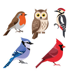A vibrant collection of colorful woodland bird species, rendered as a modern 2D flat vector illustration set, isolated cleanly against a pure white background.