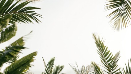 Naklejka premium 3D model of a tropical house isolated on a white background, used for architectural planning and visualization