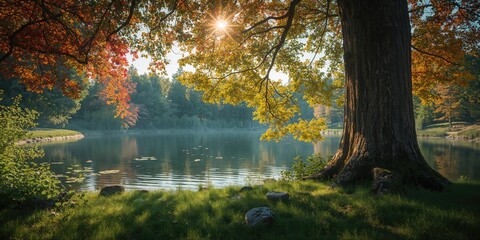 A forest scene with a tree trunk adjacent to a lake, emphasizing natural preservation
