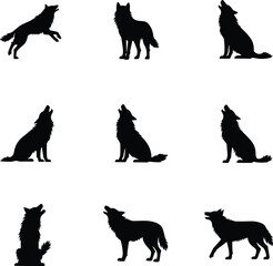 Set of wolf silhouette illustrations, multiple wolf poses including howling, standing, walking and sitting positions, detailed animal vector collection for wildlife, nature and design projects