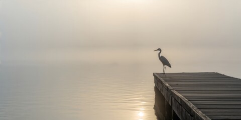 Heron standing on a wooden dock by a misty lake at dawn, tranquility and natural habitat