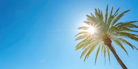 Palm tree with lush green leaves set against a vivid blue sky, ideal for tropical-themed background designs