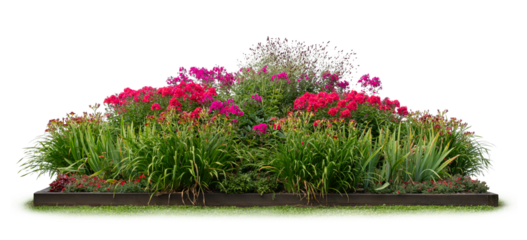 Large composition of plants and flowers in red and orange colours isolated on white and transparent background
