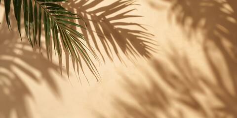 Fototapeta premium Exotic palm leaves shadows on beige paper background, lush silhouettes texture, abstract defocused backdrop for product placement, Background for text and layout