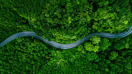 An aerial view of a winding road snaking through a dense, lush green forest landscape.