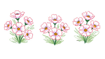 Beautiful pink flowers with green leaves on white background
