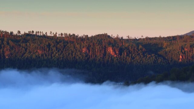 inversion cloudiness near rocks with trees with the light of the rising sun-timelapse