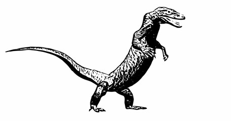 Side-view Komodo dragon illustration in black and white, long tail extended, with finely detailed scales and classic engraving style.