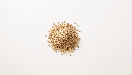 Fototapeta premium Close-up of coriander seeds arranged on a plain white surface, emphasizing spice selection for cooking