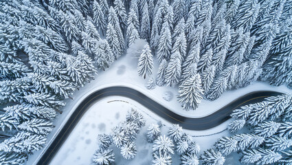 A winding road cuts through a vast, snow-covered forest, seen from a high aerial perspective.