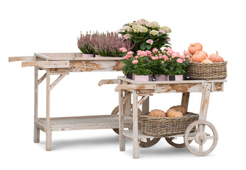Wooden stand with flowers and vegetable baskets, isolated on transparent and white background © Martin