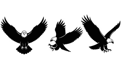 Obraz premium Stunning black and white bald eagle silhouettes capturing powerful flight and hunting moments for dynamic branding