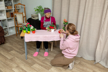 Elderly woman and young woman flower arranging. Intergenerational hobby for senior care and shared creative time. Craft workshop activity.