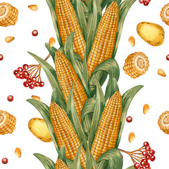 Seamless watercolor pattern on the theme of Thanksgiving and autumn harvest. Ripe corn, potatoes, viburnum berries. All objects are hand-painted in watercolor. For kitchen textiles, printing on paper.