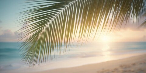 Fototapeta premium Green palm leaf overlay on a tropical sunset with wave-like bokeh, used as background for summer vacation or travel layouts