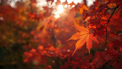 Foliage with red and green leaves serving as a background for informational or design purposes, Earth Day