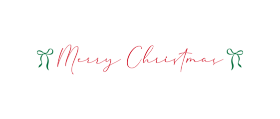 Text Christmas Blessings hand written calligraphy lettering. Coquette handmade vector illustration. Fun brush ink typography for photo overlays, t-shirt print, flyer, poster design