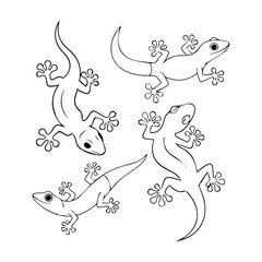 Minimalist Gecko Line Art