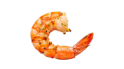 Grilled prawn, isolated on white or transparent background. PNG