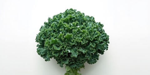 Close-up of curly kale with textured surface used as a natural background for food photography, Earth Day