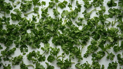 Sliced parsley herb on background, suitable for culinary garnish or flavor enhancement
