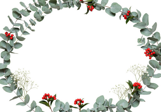 high key, flat lay studio shot of glaucous silver dollar eucalyptus and red winter berries framing vast central copy space on transparent background. minimalist christmas background concept