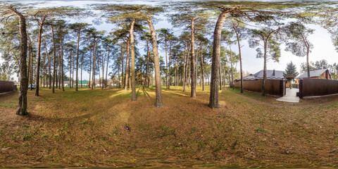full seamless spherical hdr panorama 360 degrees angle view on fallen tree among bushes of forest or park with stairs in equirectangular projection, ready VR AR virtual reality content
