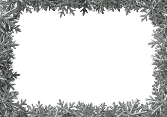 ultra photorealistic 3d rendering of intricate silver crystalline snowflakes forming a delicate border against a transparent background with ample copy space, shallow depth of field, concept for